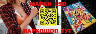 шишки Ставрополь