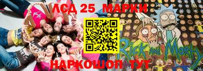 шишки Ставрополь