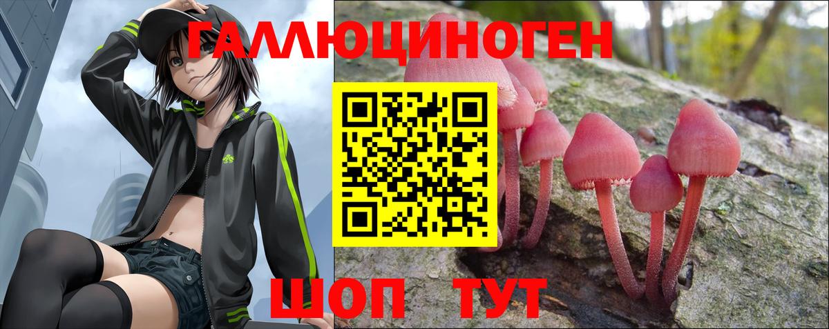 Псилоцибиновые грибы GOLDEN TEACHER  Вход с VPN  сколько стоит  Нарткала 
